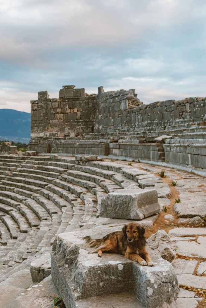 Software Complexity and the Breakdown of&nbsp;Civilisation