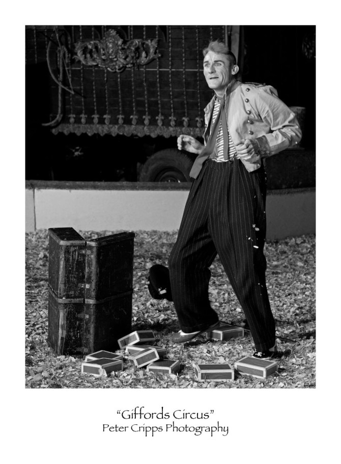 ISO 800, 1/320 @ f/2.8, Olympus M.ZUIKO 60mm Macro