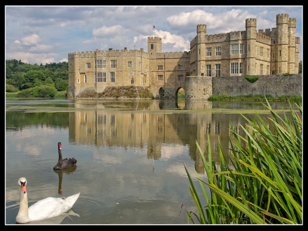 "Black and White", Kent, England