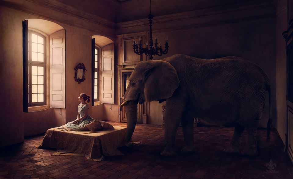 'Elephant in the Room' Photographer: Melissa Hutchinson Concept/model: Jen Brook 