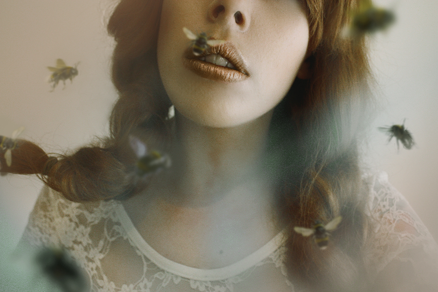 An Interview with Laura Jane&nbsp;Harding