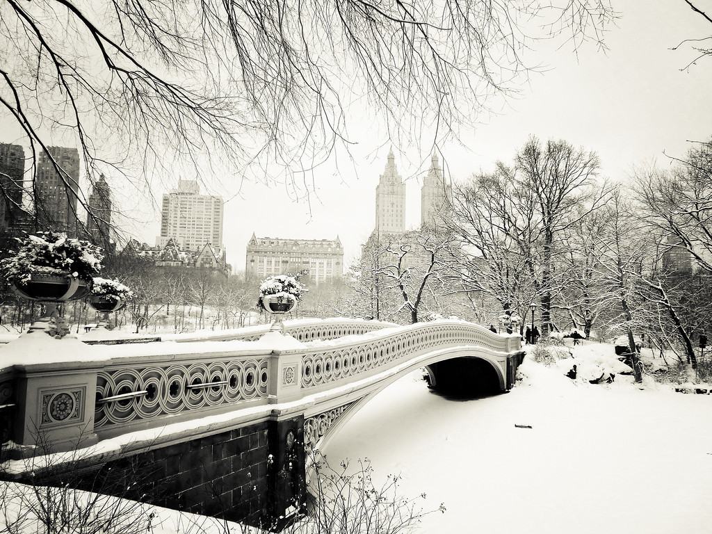 New York Winter - Central Park Snow