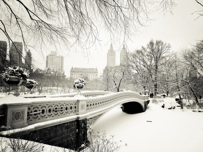 New York Winter - Central Park Snow