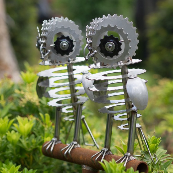 Snowy Owls by Daren Greenhow