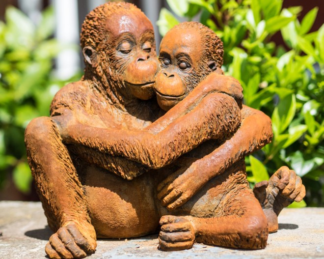 Orang-utan Sisters by Martin Adamson