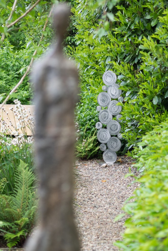 Cactus by Simon Probyn