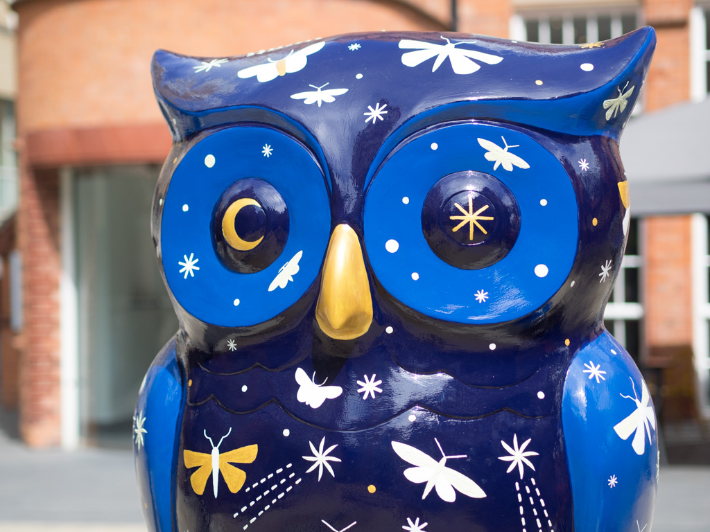 The One Outside the Ikon Gallery