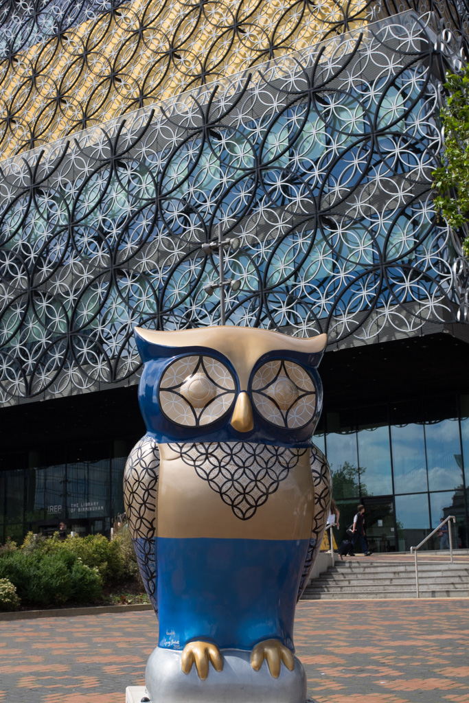 The One Outside the Library