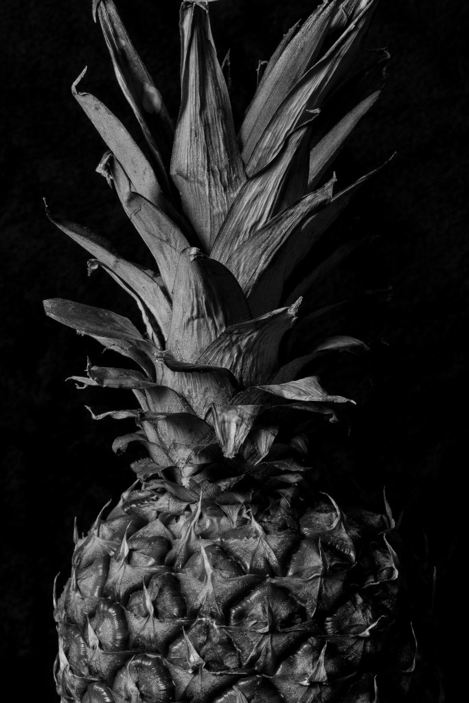 A Still Life&nbsp;Studio