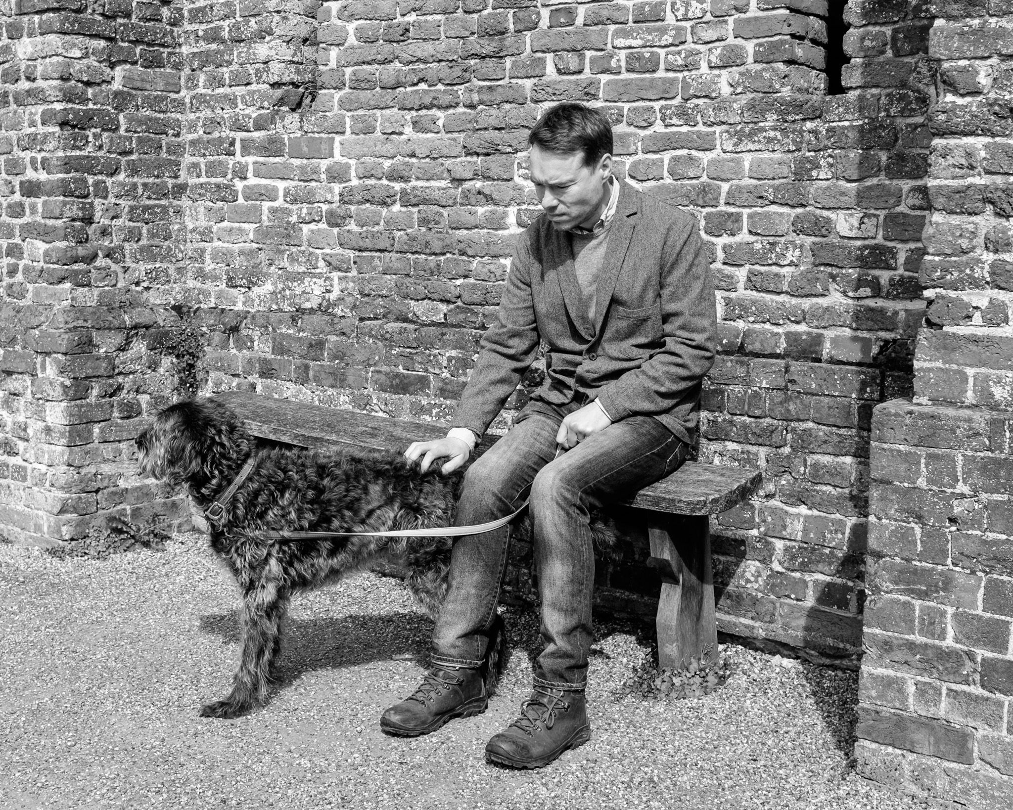 Contemplation with Dog