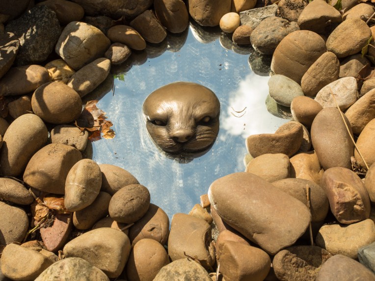 Otter by Martin Adamson