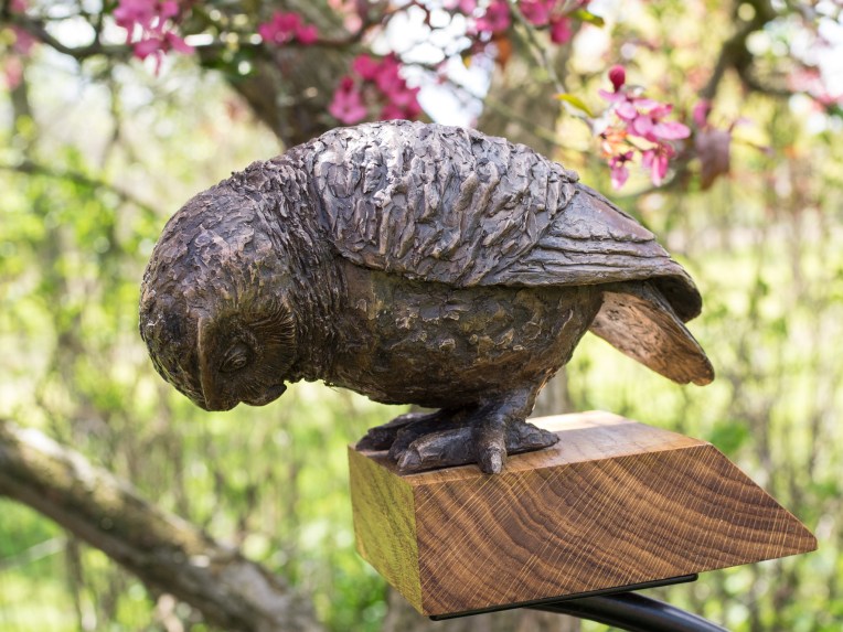 Little Owl IV (I Spy) by Marie Shepherd