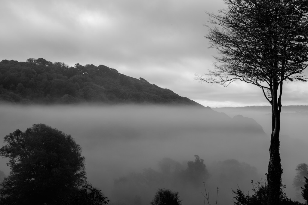 Five Reasons Why You’ll Always Suck at&nbsp;Photography