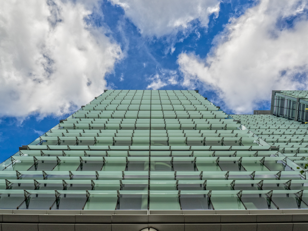 Snow Hill Looking Up