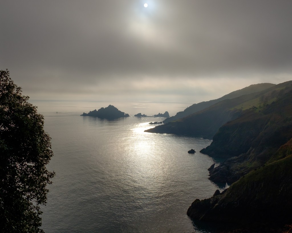 Friday Foto – 30 XII&nbsp;16