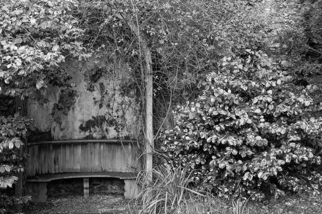 Friday Foto – 24 II&nbsp;17