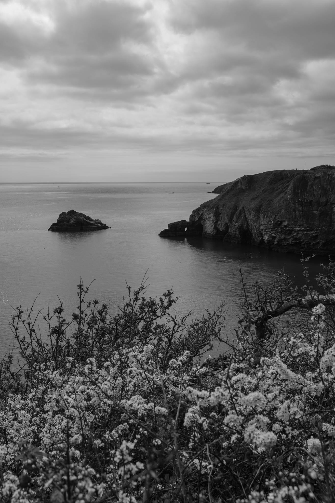 Berry Head Nature Reserve with ACROS Film Simulation
