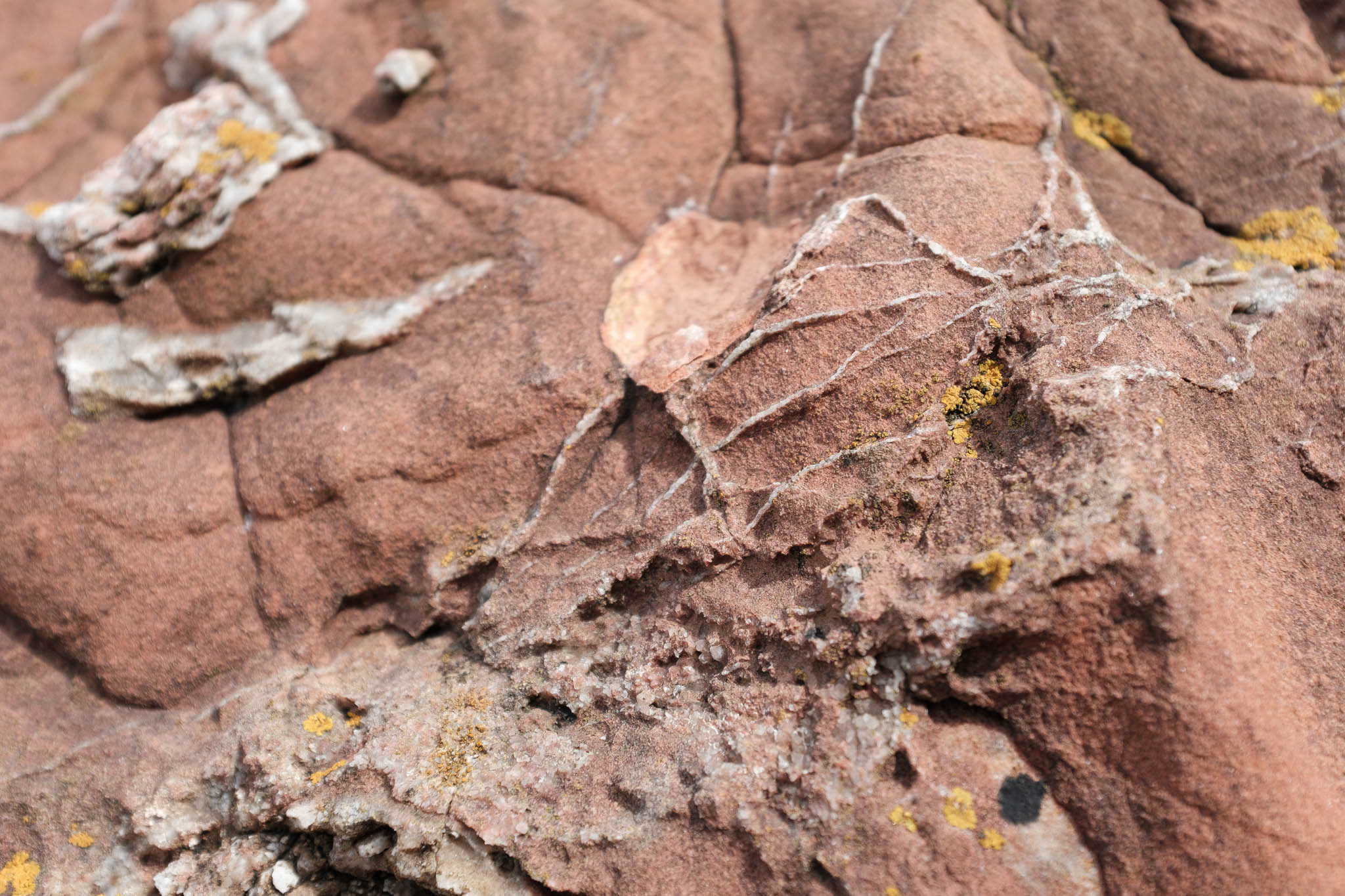 Macro Mode with CLASSIC CHROME Emulation