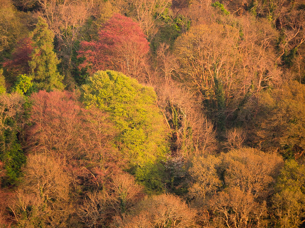 Friday Foto 28 IV&nbsp;17