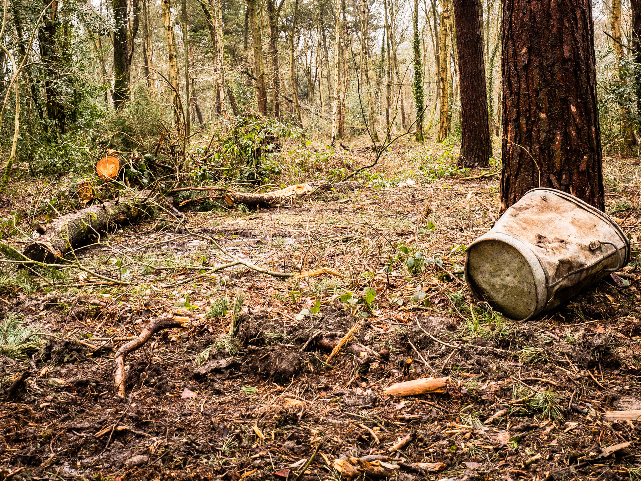 Discarded Contractors Equipment