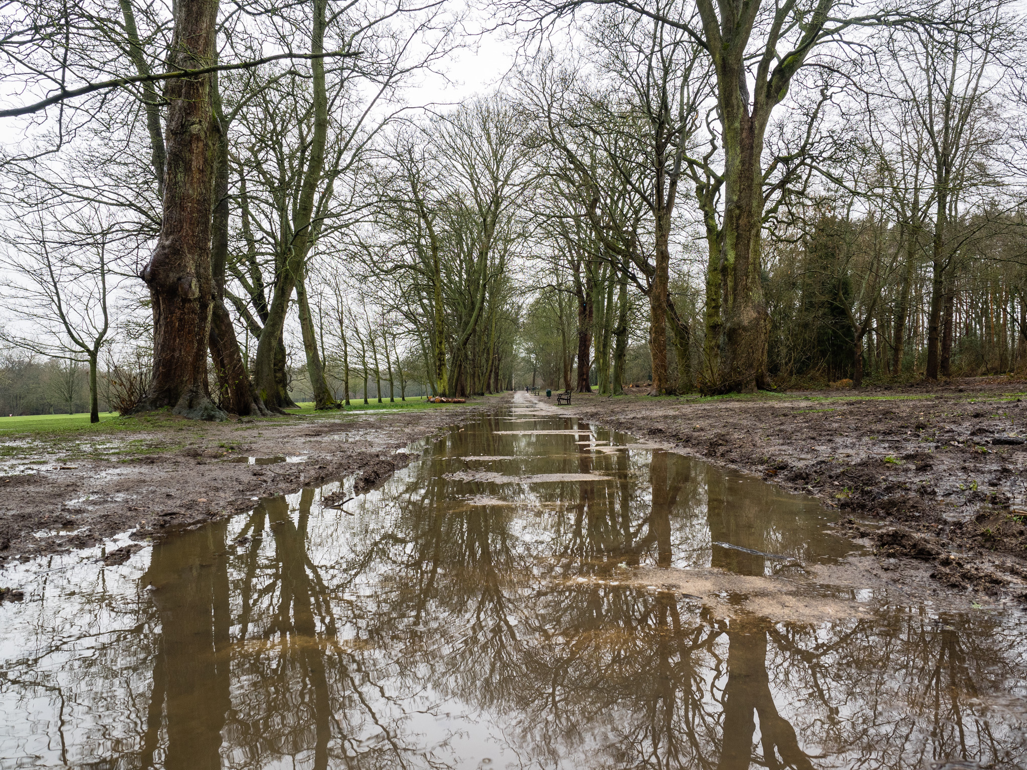 Water Soaked Pathway