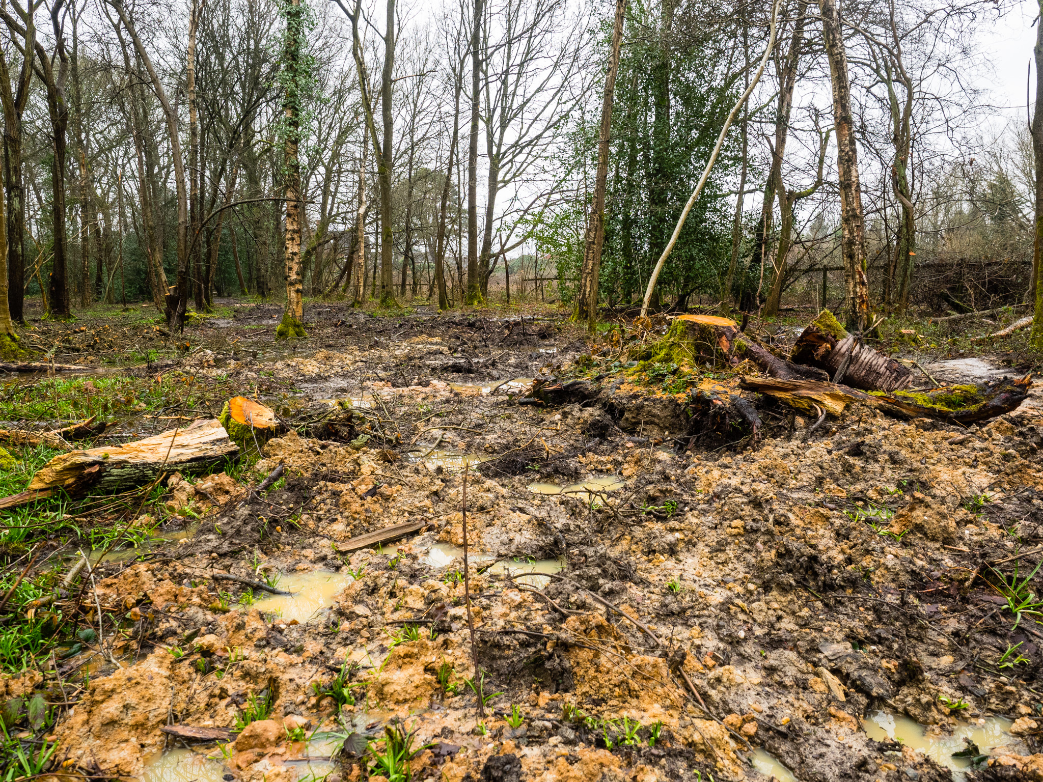 What Used to be a Path