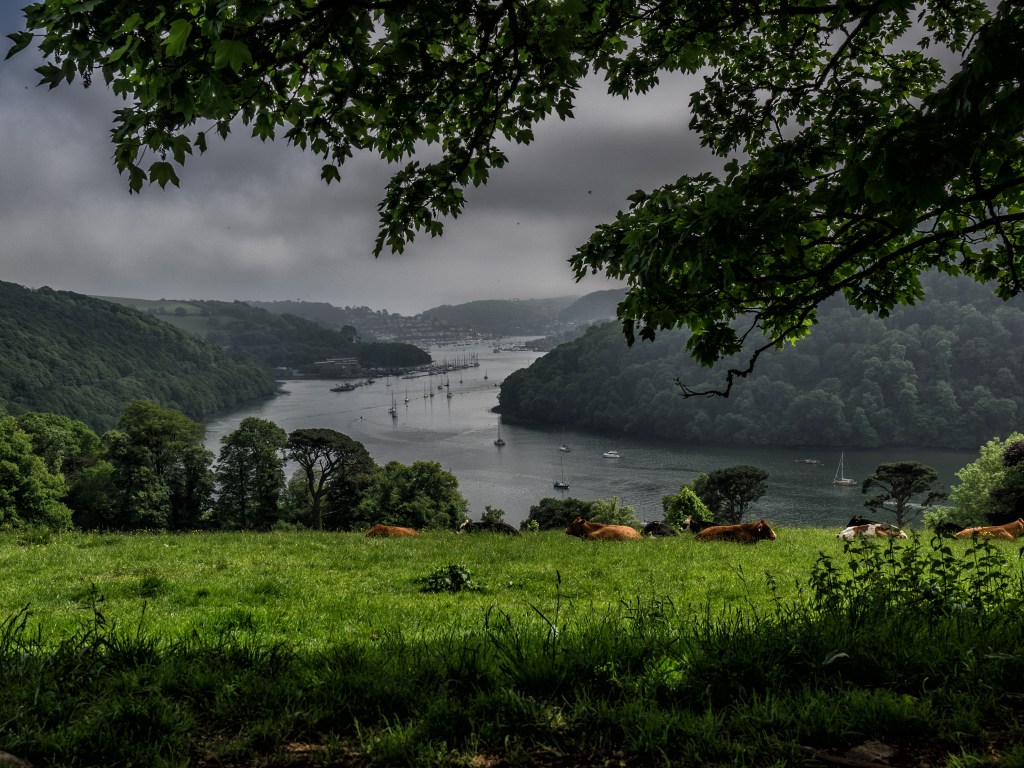 One Tree, Four&nbsp;Seasons