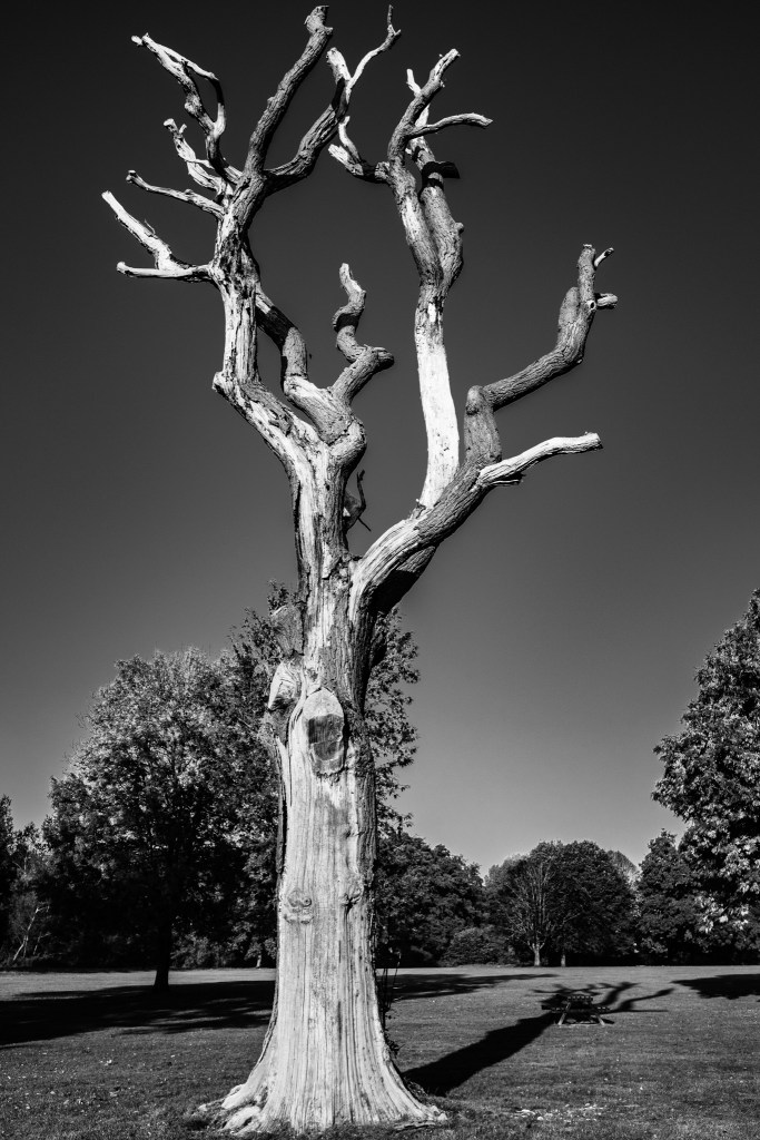 Wednesday 10th October&nbsp;2018