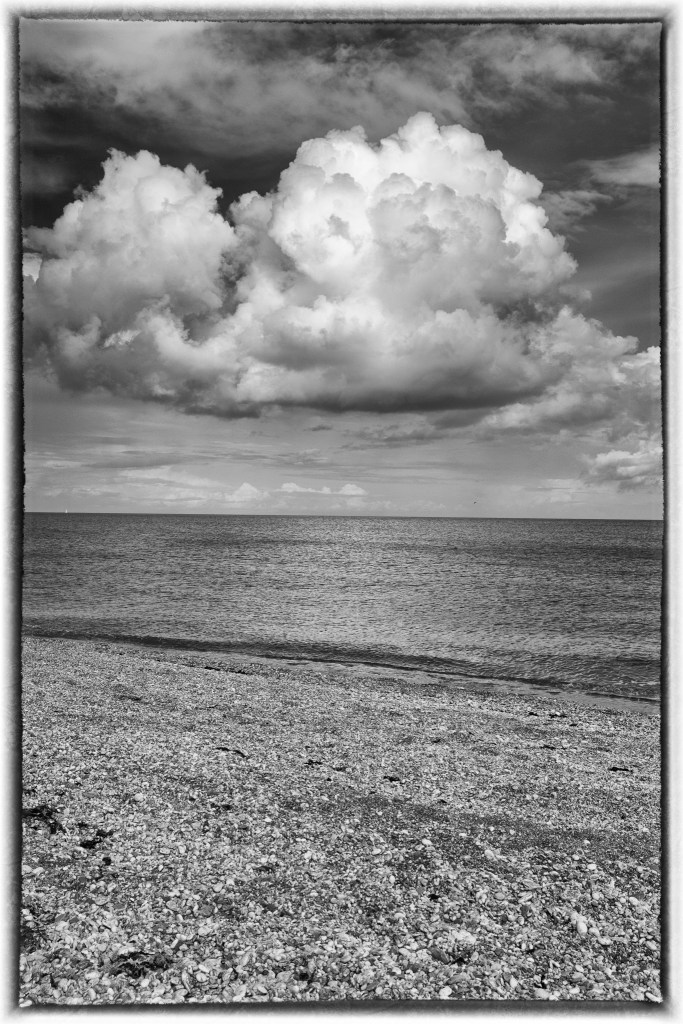 Devon, England, 2019