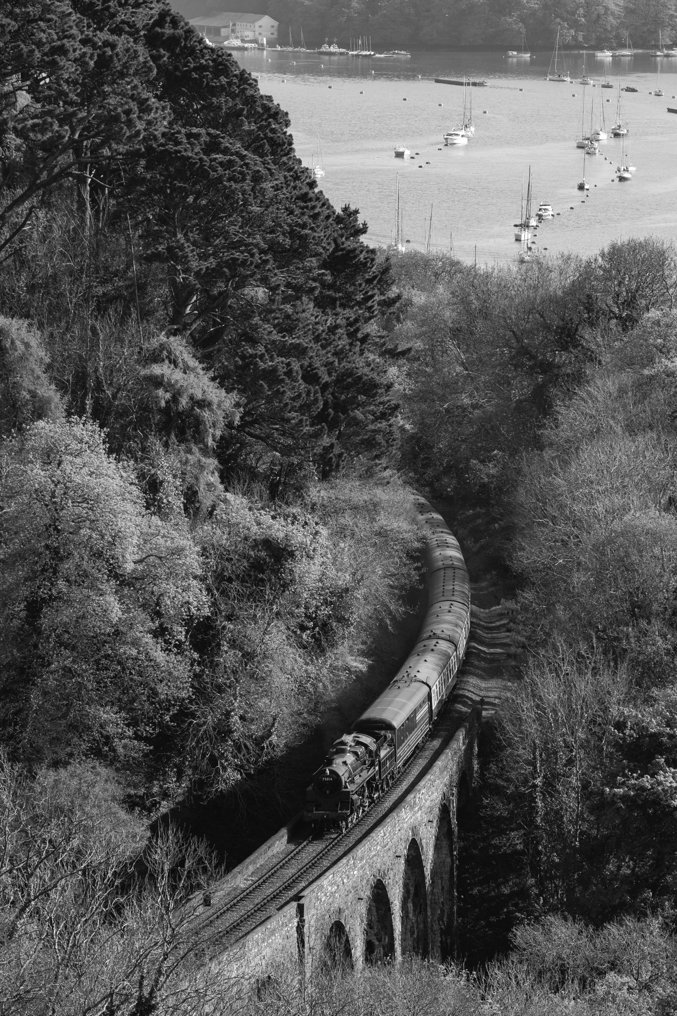 Dartmouth SteamRailway