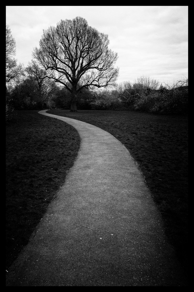 Photoessay: CoronaVirus Diary